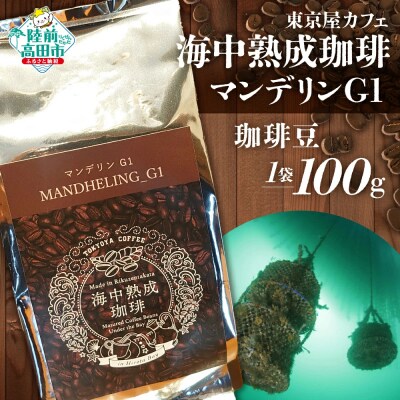 海中熟成珈琲 マンデリンG1 珈琲豆 100g×1袋 コーヒー 珈琲 豆 酸味 飲料 東京屋カフェ