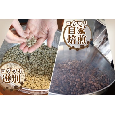 海中熟成珈琲 ニカラグア 珈琲粉 100g×1袋 コーヒー 珈琲 粉 酸味 コク 飲料 東京屋カフェ