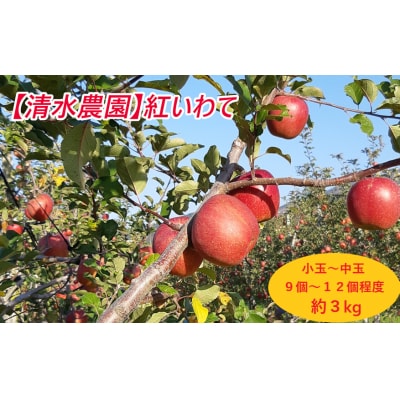 【先行受付】 りんご 紅いわて 3kg 岩手県オリジナル品種 米崎りんご フルーツ 果物 林檎