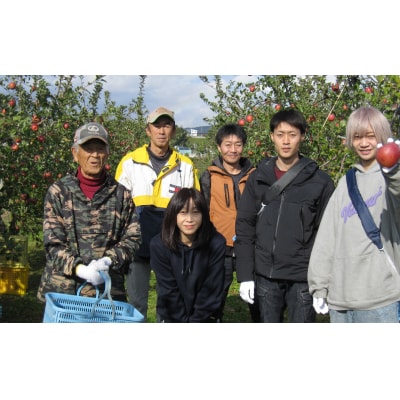 【先行受付】 りんご 紅いわて 3kg 岩手県オリジナル品種 米崎りんご フルーツ 果物 林檎