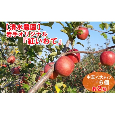 【先行受付】 りんご 紅いわて 2kg 岩手県オリジナル品種 米崎りんご フルーツ 果物 林檎