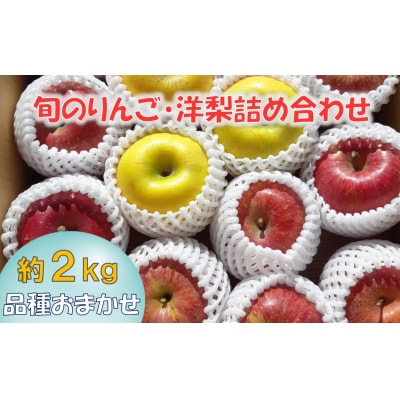 【先行受付】 旬のりんご(洋梨含む) 約2kg 品種おまかせ 1種～2種 果物 フルーツ セット 旬
