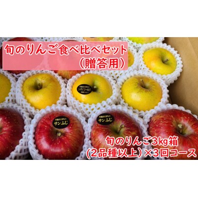 先行受付 【3回定期便】 旬のりんご食べ比べ 3kg×3回お届け 【贈答用】 リンゴ ギフト 人気