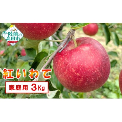 先行受付 新鮮 りんご 紅いわて 3kg 岩手県オリジナル品種 リンゴ 訳あり
