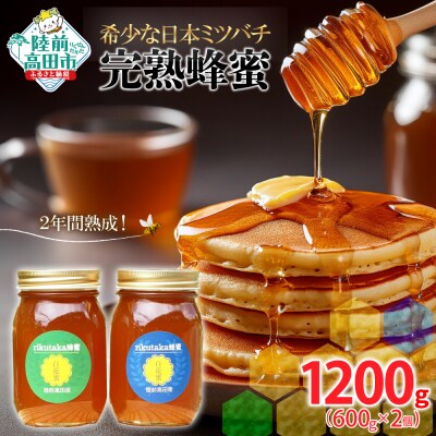 完熟蜂蜜 600g×2個 希少 日本ミツバチ 2年間熟成 はちみつ 無添加 百花蜜 ギフト 贈答品