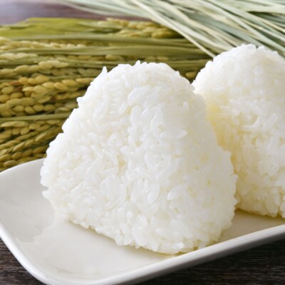 先行受付 令和8年産 新米 銀河のしずく 5kg 白米 米 お米 精米 お弁当 ブランド米 限定