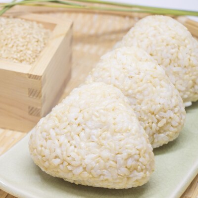 先行受付 令和8年産 新米 銀河のしずく 5kg 玄米 米 お米 おにぎり お弁当 ブランド米 限定