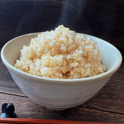 先行受付 令和8年産 新米 銀河のしずく 10kg 玄米 米 お米 おにぎり お弁当 ブランド米