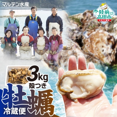 【先行受付】 訳あり 殻付き 生牡蠣 3kg 規格外 牡蠣 かき カキ 冷蔵 生食 マルテン水産