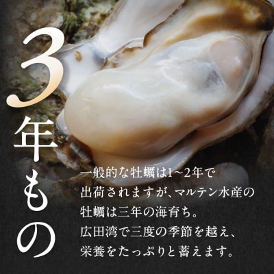 【先行受付】 訳あり 殻付き 生牡蠣 3kg 規格外 牡蠣 かき カキ 冷蔵 生食 マルテン水産
