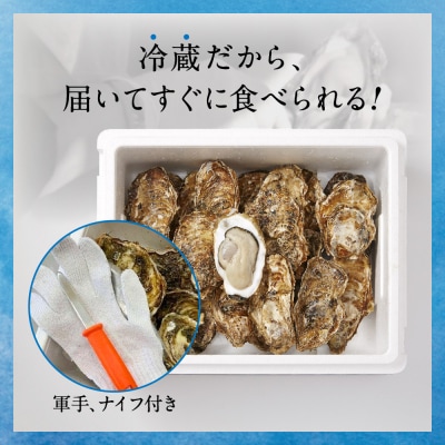 【先行受付】 訳あり 殻付き 生牡蠣 3kg 規格外 牡蠣 かき カキ 冷蔵 生食 マルテン水産