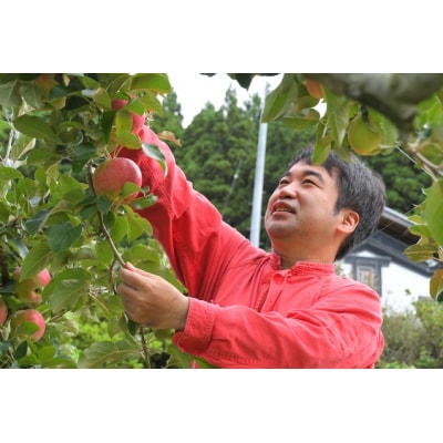 【先行受付】 加工調理用 りんご ジョナゴールド 約12kg 家庭用 訳あり リンゴ 果物 大容量