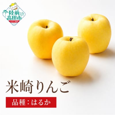 先行受付 りんご はるか 約5kg 米崎りんご 果物 フルーツ 林檎 甘い マルキヨファーム