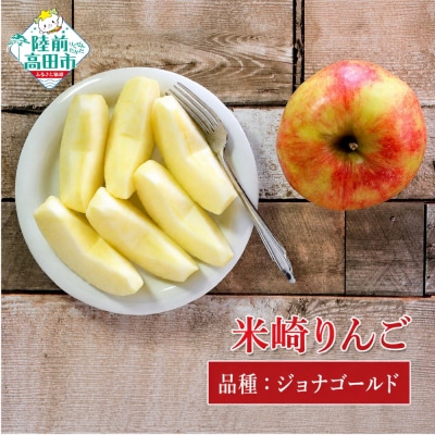 りんご ジョナゴールド 約5kg 米崎りんご 果物 フルーツ 林檎 甘い マルキヨファーム