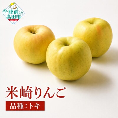りんご トキ 約2.5kg 米崎りんご 果物 フルーツ 林檎 甘い ときりんご マルキヨファーム