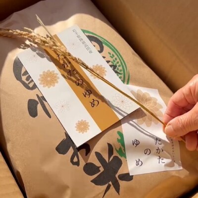 【隔月3回定期便】 令和8年産 白米 20kg × 隔月3回 品種:たかたのゆめ 米 お米 新米