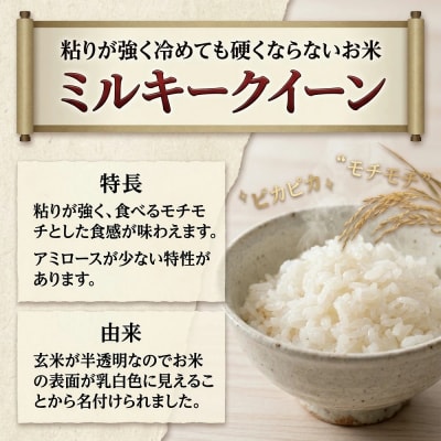 ミルキークイーン 精米 5kg 及川産業 米 お米 白米 ライス ご飯 お弁当