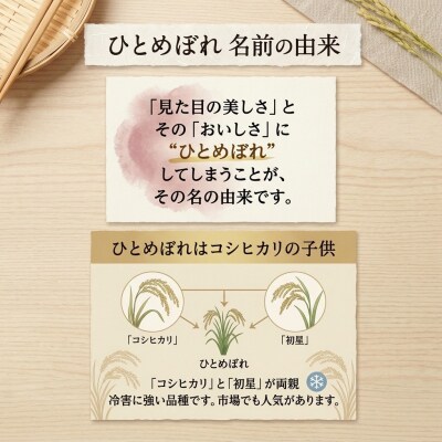 ひとめぼれ 精米 10kg 及川産業 米 新米 お米 白米 ライス ご飯 お弁当