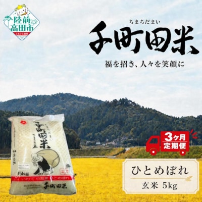 先行受付 【3ヶ月定期便】 令和8年産 ひとめぼれ 玄米 5kg 千町田米 布袋様 米 お米