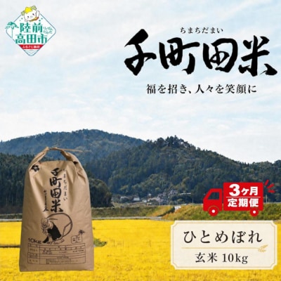 先行受付 【3ヶ月定期便】 令和8年産 ひとめぼれ 玄米 10kg 千町田米 布袋様 米 お米