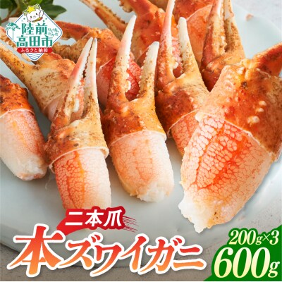 本ズワイガニ 二本爪 600g かに カニ 蟹 爪肉 冷凍 小分け 料理 寿司 海鮮 特別 年末年始