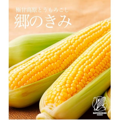 【三つ星フレンチの食材に選ばれたとうもろこし】「郷のきみ」5本
