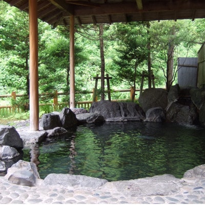 【鷲ノ湯伝説】新郷の温泉回数券(11回券)新郷温泉館・野沢温泉利用可