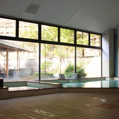【鷲ノ湯伝説】新郷の温泉回数券(11回券)新郷温泉館・野沢温泉利用可