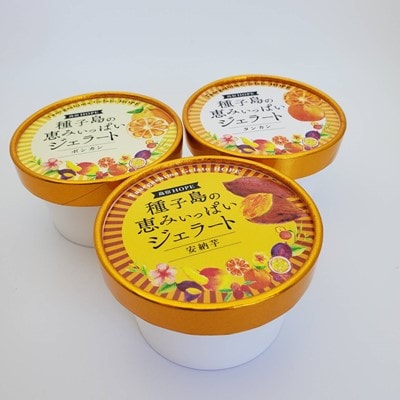 種子島の恵みジェラート12個セット