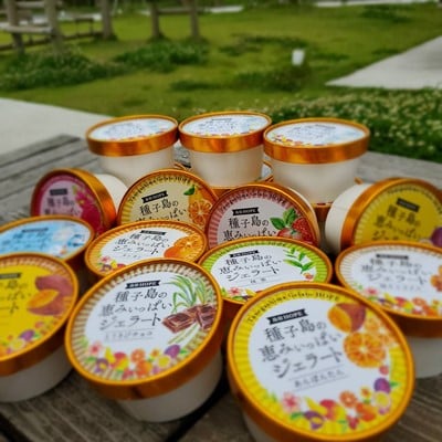 種子島の恵みジェラート12個セット