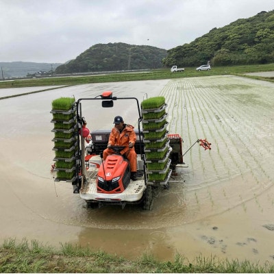 令和7年産 鹿児島県産 にじのきらめき(精米) 5kg