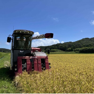 令和7年産 鹿児島県産 にじのきらめき(精米) 5kg