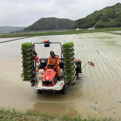 令和7年産 鹿児島県産 ミルキークイーン(精米) 5kg