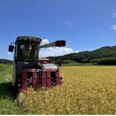 令和7年産 鹿児島県産 ミルキークイーン(精米) 5kg