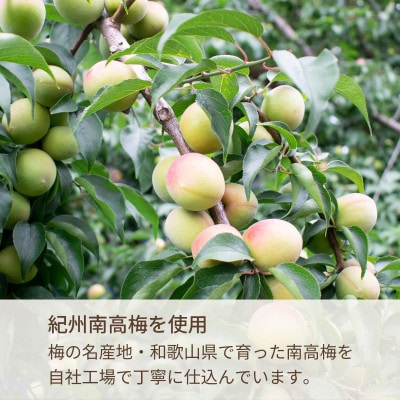紀州の梅酒　飲み比べ3本セット