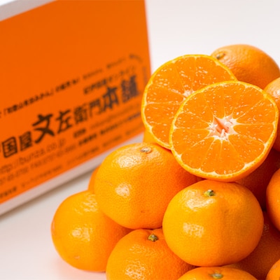 有田みかん約7.5kg(+傷み補填分500g)=合計8kg【サイズおまかせ】