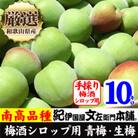 厳選南高梅 フレッシュ青梅(生梅)【緑】10kg 大サイズ 朝取り手選別 南高梅 梅酒用 うめ