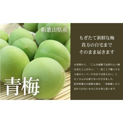 厳選南高梅 フレッシュ青梅(生梅)【緑】3kg 特大サイズ 朝取り手選別 南高梅 梅酒用 うめ