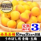 厳選南高梅 フレッシュ青梅(生梅)【完熟】3kg 大サイズ 朝採り手選別 黄色 南高梅 梅干用