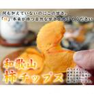 やわらか柿チップス 80g×10パック 無添加
