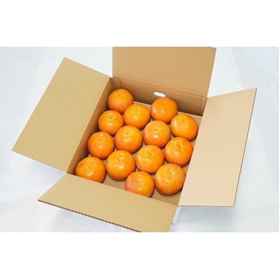 【2021年11月上旬以降出荷】和歌山県産 富有柿 約7.5kg (ご家庭用)