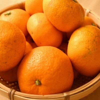 【上富田町】紀州有田みかんご家庭用約5kg (サイズ混合)