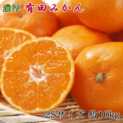 [秀品]和歌山有田みかん約10kg(2Sサイズ)「2025年11月中旬より順次発送」(上富田町)