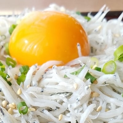 【海南塩津の港から直送】こだわりの冷蔵新鮮釜揚げしらす350g×2(上富田町)