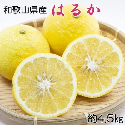 【さわやか柑橘】和歌山県産はるかみかん約4.5kg(サイズ混合　秀品)【上富田町】