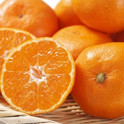 「農家直送」紀州有田みかん約5kg (S～Lサイズおまかせ)(上富田町)