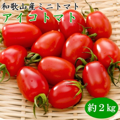 【2025年4月より出荷分】ミニトマト「アイコトマト」約2kg(S・Mサイズおまかせ)上富田町
