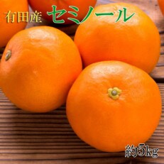 和歌山有田産セミノールオレンジ約5kg(サイズおまかせ 秀品) (上富田町)