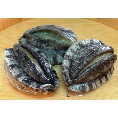 やわコリ食感紀州活アワビ 【5個入】
