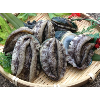 やわコリ食感紀州活アワビ 【19-20個入】